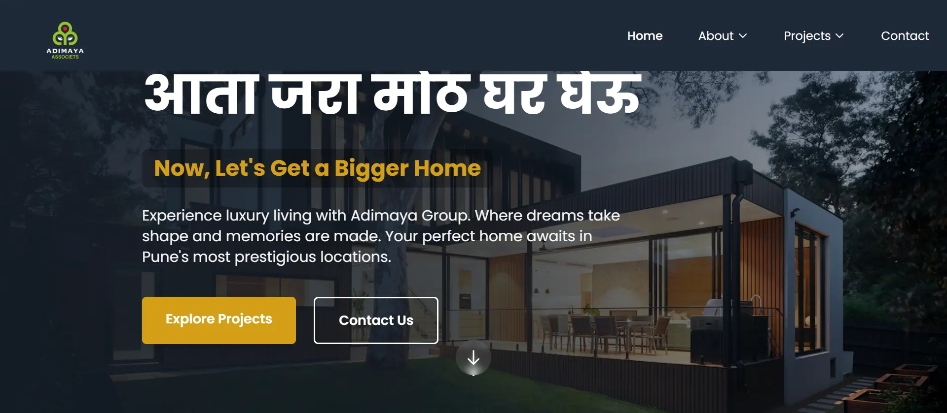Adimaya Associates website cover